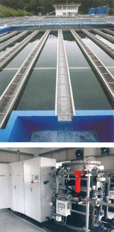 6385172824862588962322163 (1).jpg